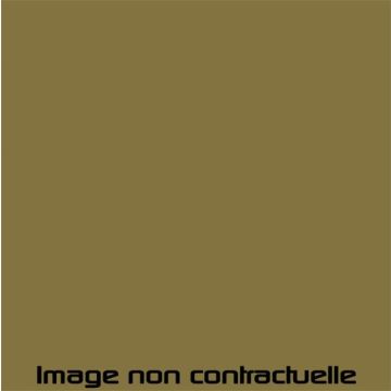 PEINTURE BEIGE ANTILLAIS POUR 2CV 1963 - AC 309