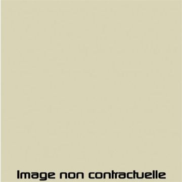 PEINTURE BEIGE ERABLE POUR 2CV 1970 -> 1971 - AC 090