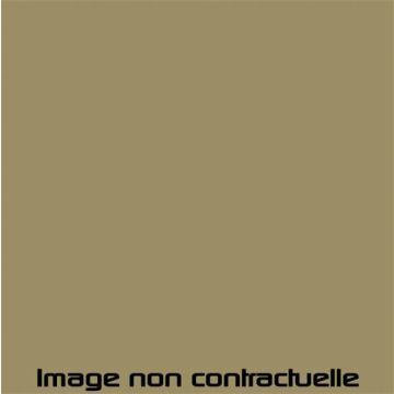 PEINTURE BEIGE VANNEAU POUR 2CV 1975 -> 1976 - AC 083