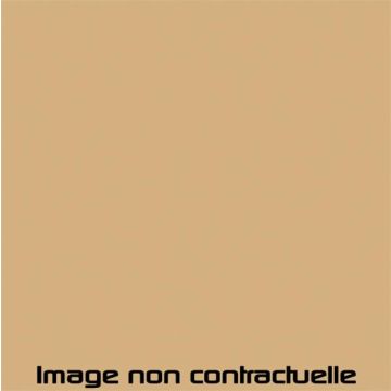 PEINTURE BEIGE GAZELLE POUR 2CV 1977 -> 1978 - AC 079